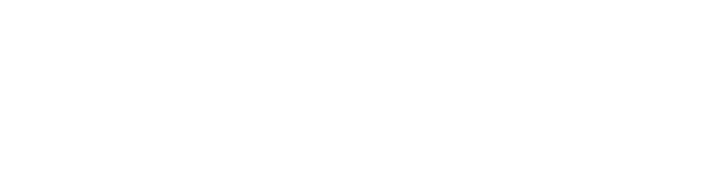 Dron Plus
